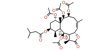 Briaexcavatin E